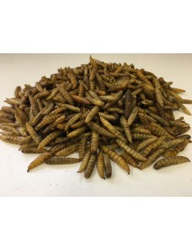 Dried calciworms