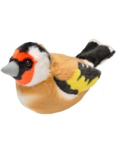 Goldfinch singing bird