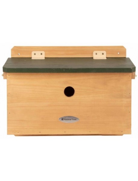 House sparrow nest box terrace