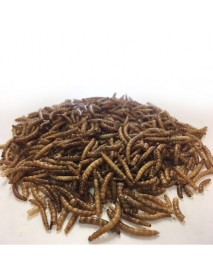 Dried mealworms