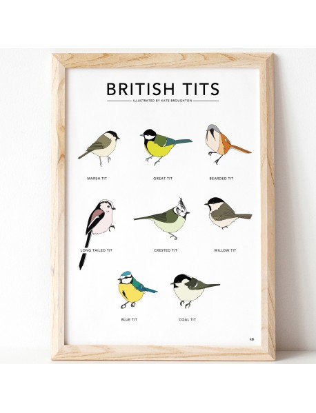 British tits print (unframed)