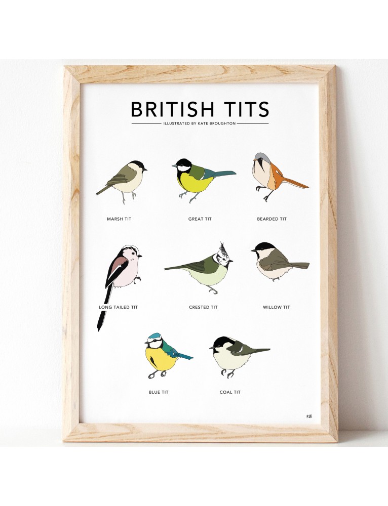 British tits print (unframed) .