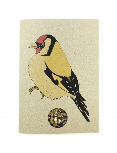 Goldfinch seed card