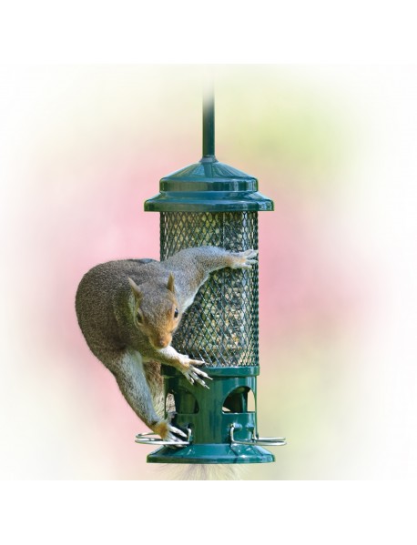 Squirrel Buster seed feeder