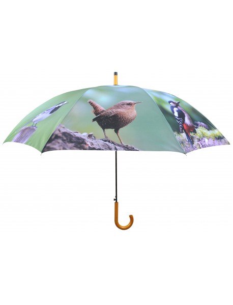 Garden bird print umbrella