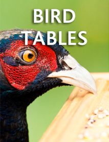 Bird Tables