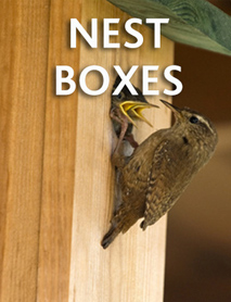 Nest boxes