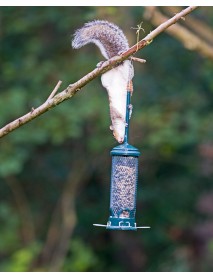 Squirrel Buster 'Mini' seed feeder